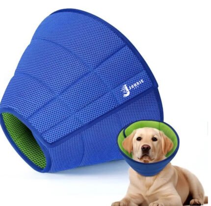 Soft Dog Cone Collar – Comfortable Cone for Dogs